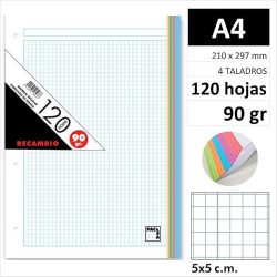 RECAMBIO PACSA A4 120H90GR 4 TAL C5 SURT 21180