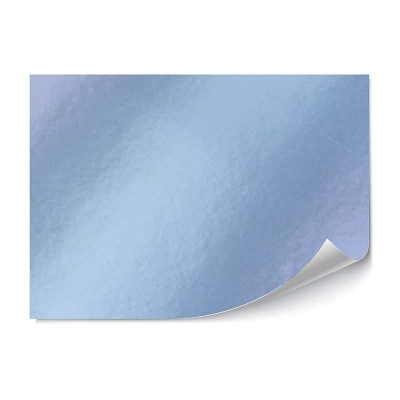CARTULINA METALIZADA 50X65 225GR PLATA