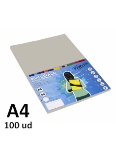 PAPEL FABRISA 80G A4 100H GRIS