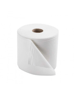 PAPEL SECAMANOS MAXI 2 CAPAS CON MANDRIL PACK 6 UD 2